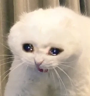 😢-MoodyCats - @PhantomSticker, Telegram Sticker