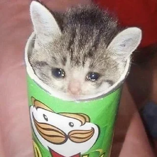😢-MoodyCats - @PhantomSticker, Telegram Sticker