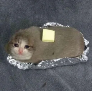 😪-MoodyCats - @PhantomSticker, Telegram Sticker