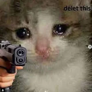 😢-MoodyCats - @PhantomSticker, Telegram Sticker