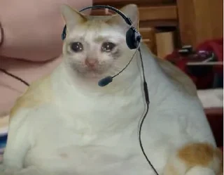 😭-MoodyCats - @PhantomSticker, Telegram Sticker