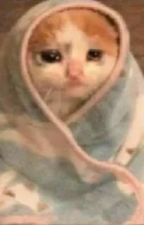 😭-MoodyCats - @PhantomSticker, Telegram Sticker