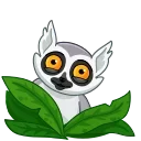 👋-Mr. Lemur, Telegram Sticker