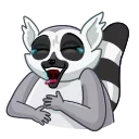 Mr. Lemur