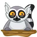 😍-Mr. Lemur, Telegram Sticker