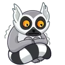 😟-Mr. Lemur, Telegram Sticker