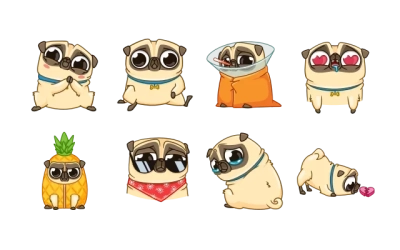 Mr. Pug