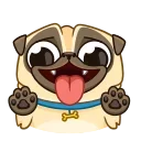 😘-Mr. Pug, Telegram Sticker