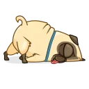 🛌-Mr. Pug, Telegram Sticker