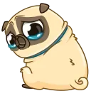 😢-Mr. Pug, Telegram Sticker