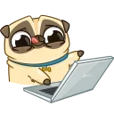 👨‍💻-Mr. Pug, Telegram Sticker