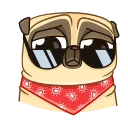 😎-Mr. Pug, Telegram Sticker