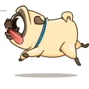 🏃‍♀️-Mr. Pug, Telegram Sticker