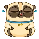 😂-Mr. Pug, Telegram Sticker