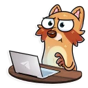 💬-Mr. Raccoon, Telegram Sticker