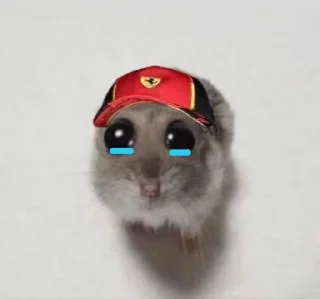 🌹-F1 memes i think|@MA_IQ7, Telegram Sticker