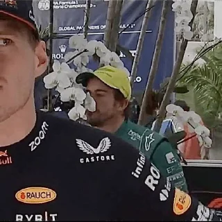 🌹-F1 memes i think|@MA_IQ7, Telegram Sticker