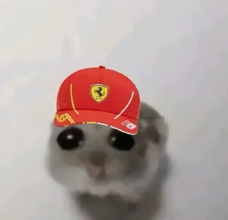 🌹-F1 memes i think|@MA_IQ7, Telegram Sticker