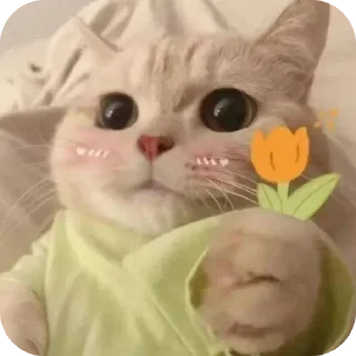 🐱-My Mood stickers, Telegram Sticker