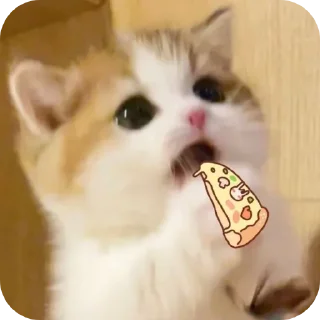 🐱-My Mood stickers, Telegram Sticker