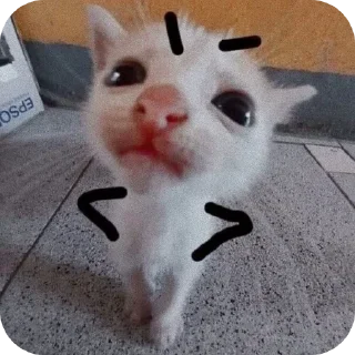 🐱-My Mood stickers, Telegram Sticker