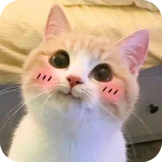 🐱-My Mood stickers, Telegram Sticker
