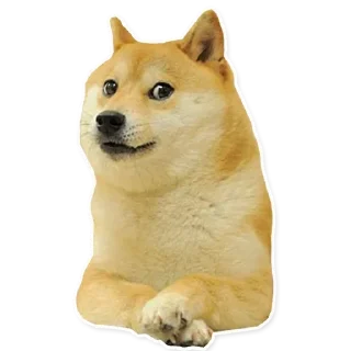 🐶-ً | ‏@Malsqt ‏| @Nai61 |, Telegram Sticker