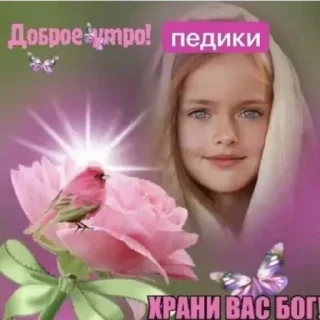 🏳‍🌈-НслчйВжнхПргврв @gnilyebaby, Telegram Sticker