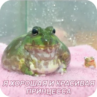 🍽-НслчйВжнхПргврв @gnilyebaby, Telegram Sticker