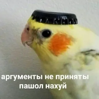 🦜-НслчйВжнхПргврв @gnilyebaby, Telegram Sticker