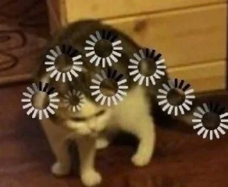 ❓-🧩 хуета муна by @fStikBot, Telegram Sticker