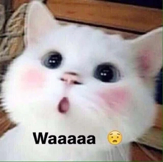 😻-🧩 хуета муна by @fStikBot, Telegram Sticker