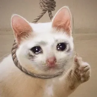 🥺-🧩 хуета муна by @fStikBot, Telegram Sticker