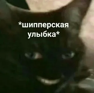 😃-🧩 хуета муна by @fStikBot, Telegram Sticker