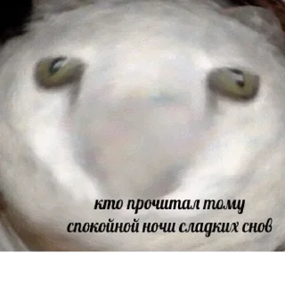 💤-🧩 хуета муна by @fStikBot, Telegram Sticker