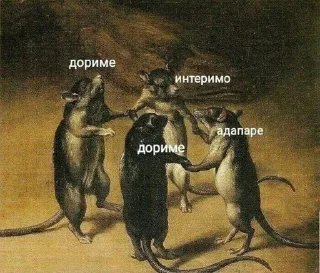 🐀-🧩 хуета муна by @fStikBot, Telegram Sticker