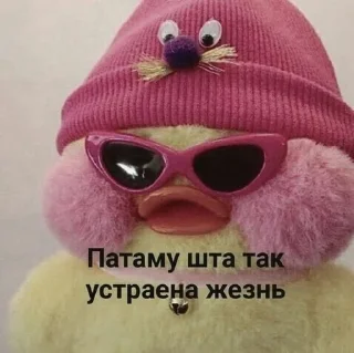 😎-🧩 хуета муна by @fStikBot, Telegram Sticker