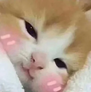 🥰-🧩 хуета муна by @fStikBot, Telegram Sticker