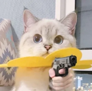🔪-🧩 хуета муна by @fStikBot, Telegram Sticker