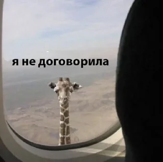 😑-🧩 хуета муна by @fStikBot, Telegram Sticker