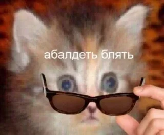 😳-🧩 хуета муна by @fStikBot, Telegram Sticker