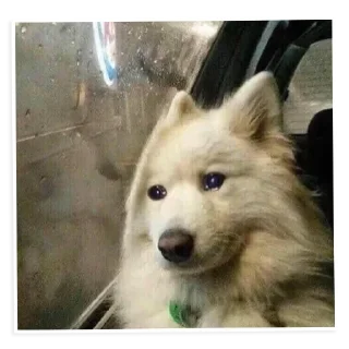 😢-NECjAR, Telegram Sticker