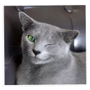😉-NECjAR, Telegram Sticker