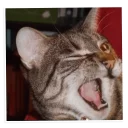 😉-NECjAR, Telegram Sticker