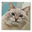 🙂-NECjAR, Telegram Sticker