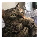 🤔-NECjAR, Telegram Sticker