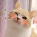 😉-Meow (==) (@StellarCats_Meow), Telegram Sticker