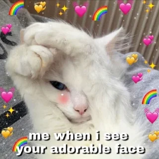 😻-Meow (==) (@StellarCats_Meow), Telegram Sticker