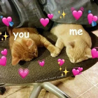 💞-Meow (==) (@StellarCats_Meow), Telegram Sticker