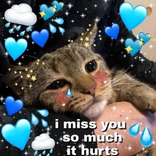 😢-Meow (==) (@StellarCats_Meow), Telegram Sticker